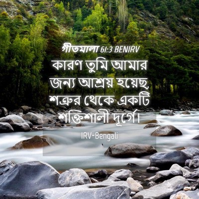 Picture 04 - গীতমালা 61:3 BENIRV - কারণ তুমি আমার - Bible Verse Picture