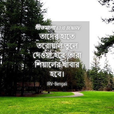 Picture 04 - গীতমালা 63:10 BENIRV - তাদের হাতে - Bible Verse Picture