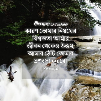 Picture 04 - গীতমালা 63:3 BENIRV - কারণ তোমার - Bible Verse Picture