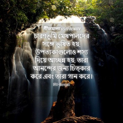 Picture 04 - গীতমালা 65:13 BENIRV - চারণভূমি - Bible Verse Picture