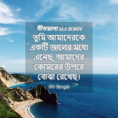 Picture 04 - গীতমালা 66:11 BENIRV - তুমি আমাদেরকে - Bible Verse Picture