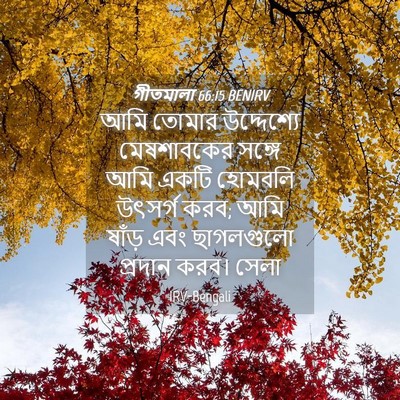 Picture 04 - গীতমালা 66:15 BENIRV - আমি তোমার - Bible Verse Picture
