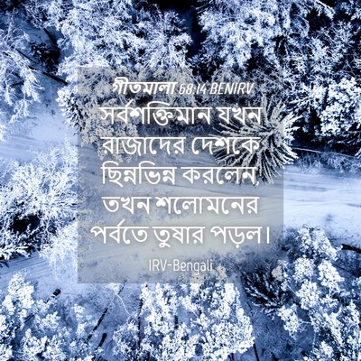 Picture 04 - গীতমালা 68:14 BENIRV - সর্বশক্তিমান যখন - Bible Verse Picture