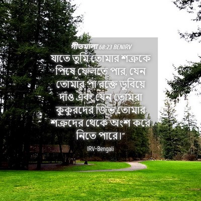 Picture 04 - গীতমালা 68:23 BENIRV - যাতে তুমি তোমার - Bible Verse Picture