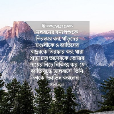 Picture 04 - গীতমালা 68:30 BENIRV - নলবনের বন্যপশুকে - Bible Verse Picture