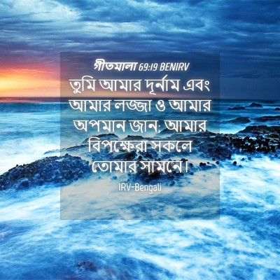 Picture 04 - গীতমালা 69:19 BENIRV - তুমি আমার দূর্নাম - Bible Verse Picture