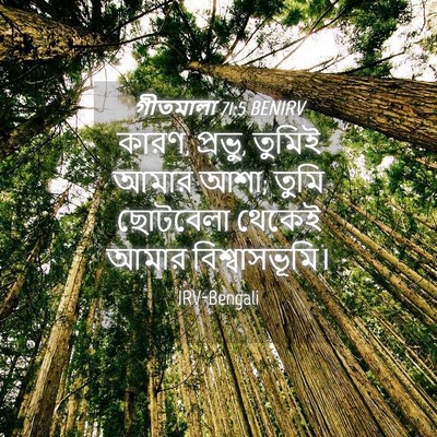 Picture 04 - গীতমালা 71:5 BENIRV - কারণ, প্রভু, তুমিই - Bible Verse Picture