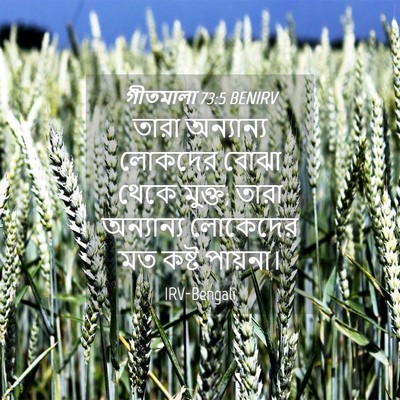 Picture 04 - গীতমালা 73:5 BENIRV - তারা অন্যান্য - Bible Verse Picture