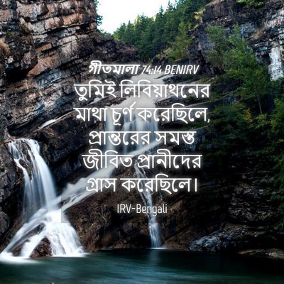 Picture 04 - গীতমালা 74:14 BENIRV - তুমিই লিবিয়াথনের - Bible Verse Picture