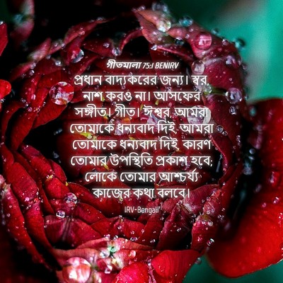 Picture 04 - গীতমালা 75:1 BENIRV - প্রধান বাদ্যকরের - Bible Verse Picture