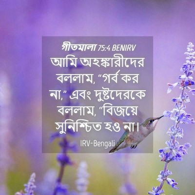 Picture 04 - গীতমালা 75:4 BENIRV - আমি অহঙ্কারীদের - Bible Verse Picture