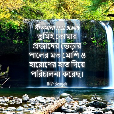 Picture 04 - গীতমালা 77:20 BENIRV - তুমিই তোমার - Bible Verse Picture