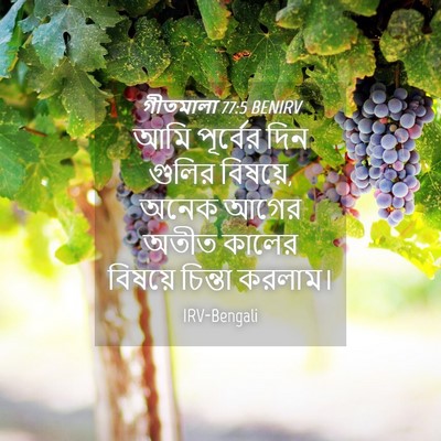 Picture 04 - গীতমালা 77:5 BENIRV - আমি পূর্বের দিন - Bible Verse Picture