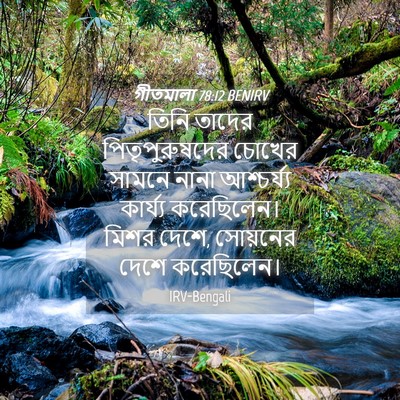 Picture 04 - গীতমালা 78:12 BENIRV - তিনি তাদের - Bible Verse Picture