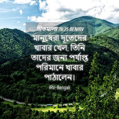 Picture 04 - গীতমালা 78:25 BENIRV - মানুষেরা দূতেদের - Bible Verse Picture