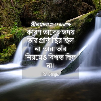 Picture 04 - গীতমালা 78:37 BENIRV - কারণ তাদের হৃদয় - Bible Verse Picture