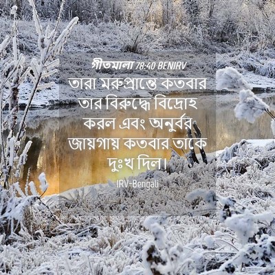 Picture 04 - গীতমালা 78:40 BENIRV - তারা মরুপ্রান্তে - Bible Verse Picture
