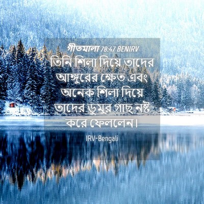 Picture 04 - গীতমালা 78:47 BENIRV - তিনি শিলা দিয়ে - Bible Verse Picture