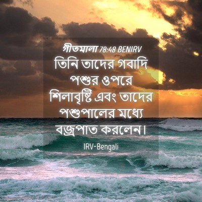 Picture 04 - গীতমালা 78:48 BENIRV - তিনি তাদের গবাদি - Bible Verse Picture