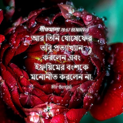 Picture 04 - গীতমালা 78:67 BENIRV - আর তিনি যোষেফের - Bible Verse Picture