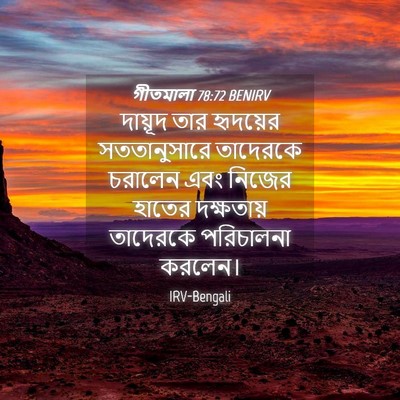 Picture 04 - গীতমালা 78:72 BENIRV - দায়ূদ তার - Bible Verse Picture