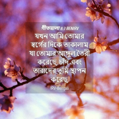 Picture 04 - গীতমালা 8:3 BENIRV - যখন আমি তোমার - Bible Verse Picture