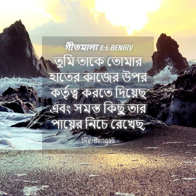 Picture 04 - গীতমালা 8:6 BENIRV - তুমি তাকে তোমার - Bible Verse Picture