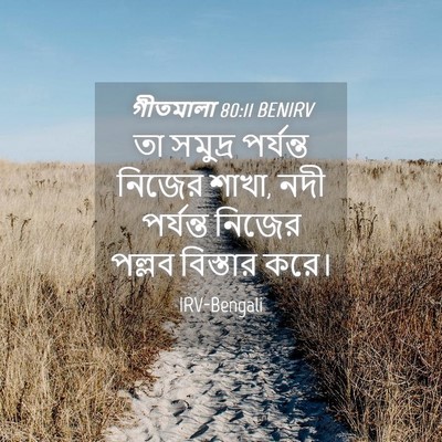 Picture 04 - গীতমালা 80:11 BENIRV - তা সমুদ্র পর্যন্ত - Bible Verse Picture