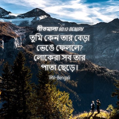 Picture 04 - গীতমালা 80:12 BENIRV - তুমি কেন তার বেড়া - Bible Verse Picture