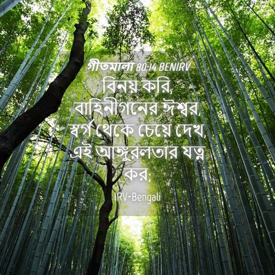 Picture 04 - গীতমালা 80:14 BENIRV - বিনয় করি, - Bible Verse Picture