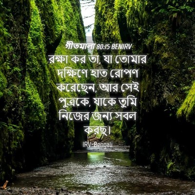 Picture 04 - গীতমালা 80:15 BENIRV - রক্ষা কর তা, যা - Bible Verse Picture