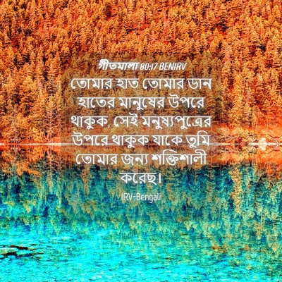Picture 04 - গীতমালা 80:17 BENIRV - তোমার হাত তোমার - Bible Verse Picture