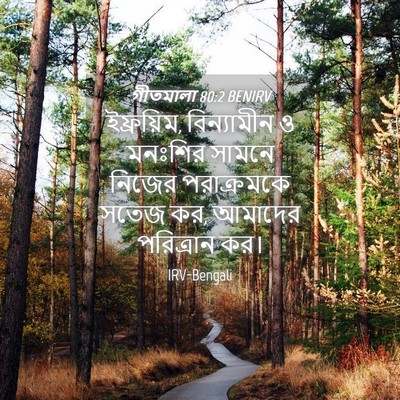 Picture 04 - গীতমালা 80:2 BENIRV - ইফ্রয়িম, - Bible Verse Picture