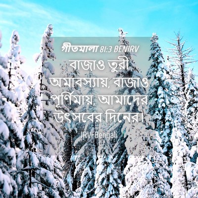 Picture 04 - গীতমালা 81:3 BENIRV - বাজাও তুরী - Bible Verse Picture