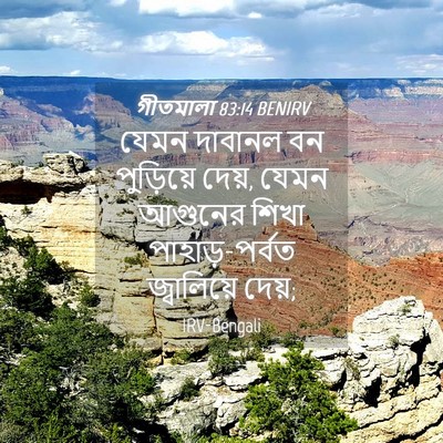 Picture 04 - গীতমালা 83:14 BENIRV - যেমন দাবানল বন - Bible Verse Picture