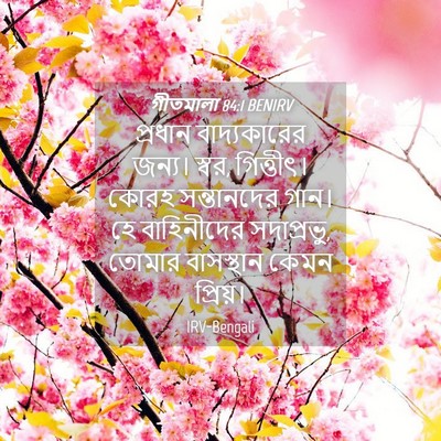 Picture 04 - গীতমালা 84:1 BENIRV - প্রধান বাদ্যকারের - Bible Verse Picture