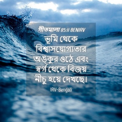 Picture 04 - গীতমালা 85:11 BENIRV - ভূমি থেকে - Bible Verse Picture