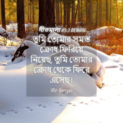 Picture 04 - গীতমালা 85:3 BENIRV - তুমি তোমার সমস্ত - Bible Verse Picture