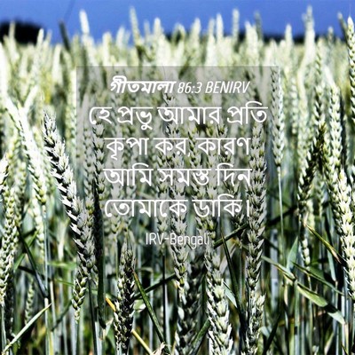 Picture 04 - গীতমালা 86:3 BENIRV - হে প্রভু আমার - Bible Verse Picture