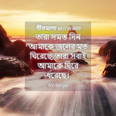 Picture 04 - গীতমালা 88:17 BENIRV - তারা সমস্ত দিন - Bible Verse Picture