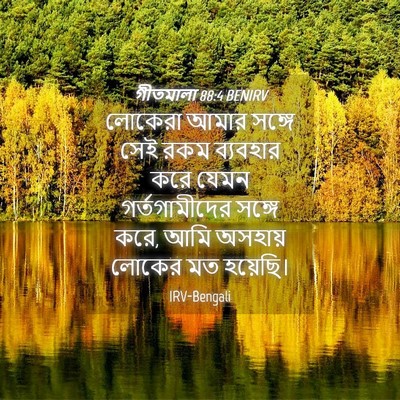 Picture 04 - গীতমালা 88:4 BENIRV - লোকেরা আমার সঙ্গে - Bible Verse Picture