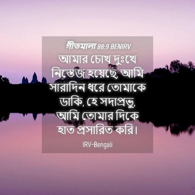 Picture 04 - গীতমালা 88:9 BENIRV - আমার চোখ দুঃখে - Bible Verse Picture