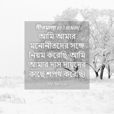 Picture 04 - গীতমালা 89:3 BENIRV - আমি আমার - Bible Verse Picture