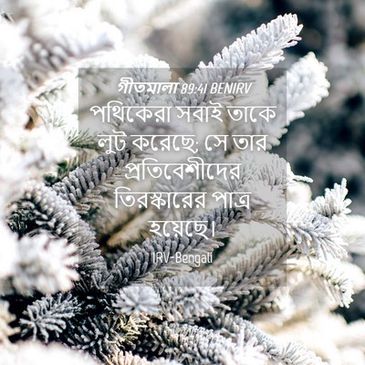 Picture 04 - গীতমালা 89:41 BENIRV - পথিকেরা সবাই তাকে - Bible Verse Picture