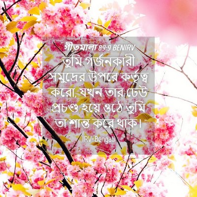 Picture 04 - গীতমালা 89:9 BENIRV - তুমি গর্জনকারী - Bible Verse Picture