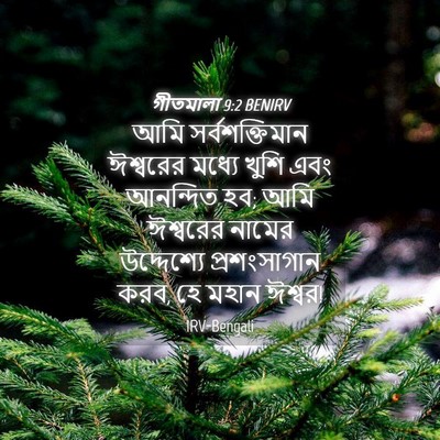 Picture 04 - গীতমালা 9:2 BENIRV - আমি সর্বশক্তিমান - Bible Verse Picture