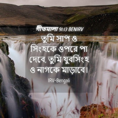 Picture 04 - গীতমালা 91:13 BENIRV - তুমি সাপ ও সিংহকে - Bible Verse Picture