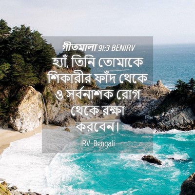 Picture 04 - গীতমালা 91:3 BENIRV - হ্যাঁ, তিনি তোমাকে - Bible Verse Picture