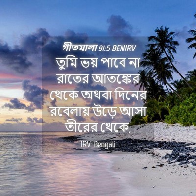 Picture 04 - গীতমালা 91:5 BENIRV - তুমি ভয় পাবে না - Bible Verse Picture