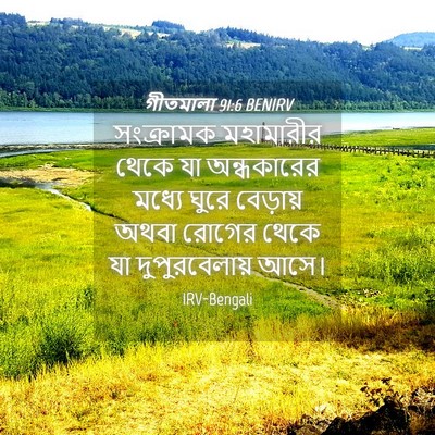 Picture 04 - গীতমালা 91:6 BENIRV - সংক্রামক মহামারীর - Bible Verse Picture